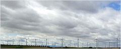 wind farm o fattoria del vento